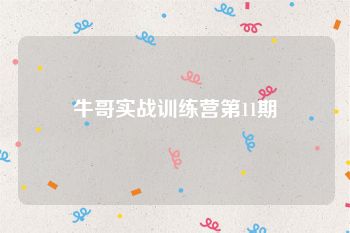 牛哥实战训练营第11期