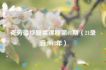 克劳德炒股票课程第01期（21录音2017年）