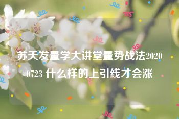 苏天发量学大讲堂量势战法20200723 什么样的上引线才会涨