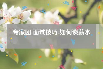 专家团 面试技巧-如何谈薪水