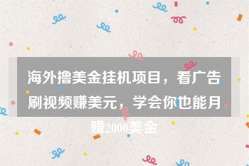 海外撸美金挂机项目，看广告刷视频赚美元，学会你也能月赚2000美金