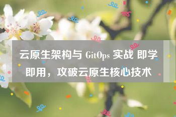 云原生架构与 GitOps 实战 即学即用，攻破云原生核心技术