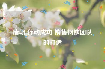 唐朝 行动成功-销售钢铁团队的打造