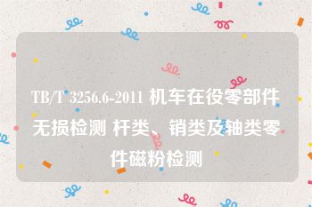 TB/T 3256.6-2011 机车在役零部件无损检测 杆类、销类及轴类零件磁粉检测