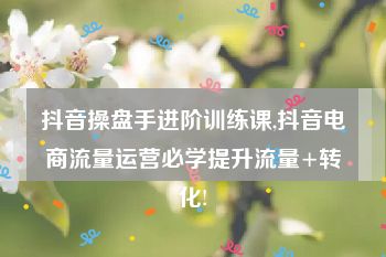 抖音操盘手进阶训练课,抖音电商流量运营必学提升流量+转化!