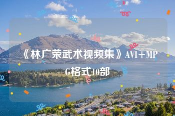 《林广荣武术视频集》AVI+MPG格式10部