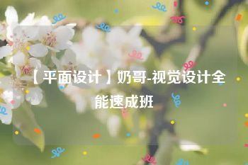 【平面设计】奶哥-视觉设计全能速成班