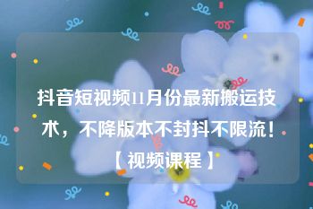 抖音短视频11月份最新搬运技术，不降版本不封抖不限流！【视频课程】