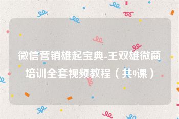 微信营销雄起宝典-王双雄微商培训全套视频教程（共9课）