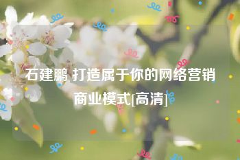 石建鹏 打造属于你的网络营销商业模式[高清]