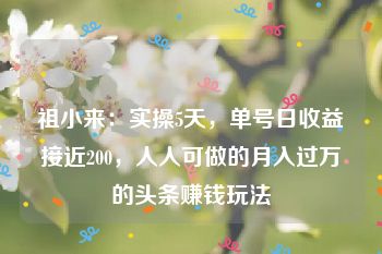 祖小来：实操5天，单号日收益接近200，人人可做的月入过万的头条赚钱玩法