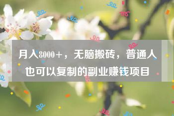 月入8000+，无脑搬砖，普通人也可以复制的副业赚钱项目