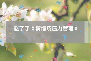 赵了了《情绪及压力管理》