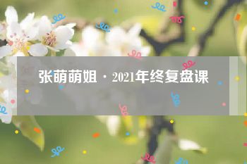 张萌萌姐·2021年终复盘课