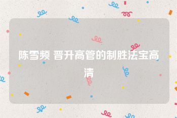 陈雪频 晋升高管的制胜法宝高清