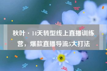 秋叶·14天转型线上直播训练营，爆款直播导流5大打法