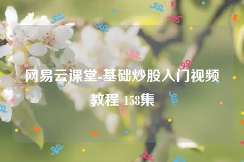 网易云课堂-基础炒股入门视频教程 158集