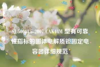 SJ 50063.5-2007 CAK44M 型有可靠性指标的固体电解质钽固定电容器详细规范