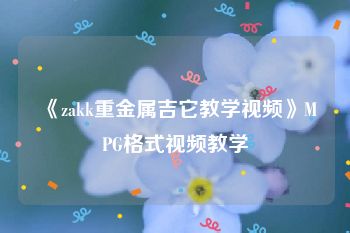 《zakk重金属吉它教学视频》MPG格式视频教学