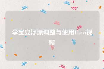 李宝安浮漂调整与使用11.avi视频