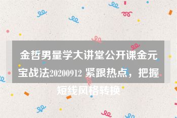 金哲男量学大讲堂公开课金元宝战法20200912 紧跟热点，把握短线风格转换