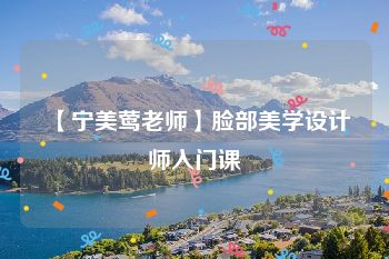 【宁美莺老师】脸部美学设计师入门课