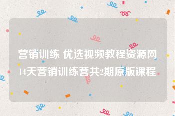 营销训练 优选视频教程资源网14天营销训练营共2期原版课程