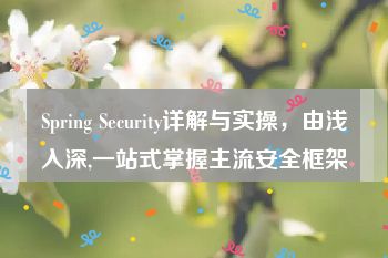 Spring Security详解与实操，由浅入深,一站式掌握主流安全框架