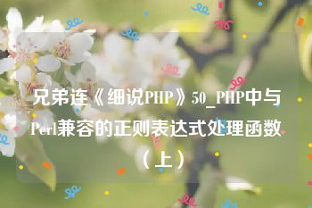 兄弟连《细说PHP》50_PHP中与Perl兼容的正则表达式处理函数（上）