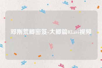 邓刚荒鲫密笈-大鲫篇03.avi视频