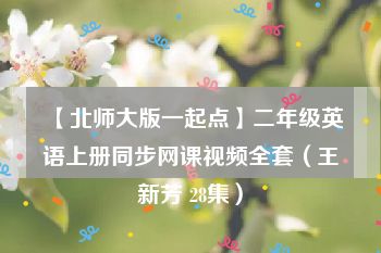 【北师大版一起点】二年级英语上册同步网课视频全套（王新芳 28集）