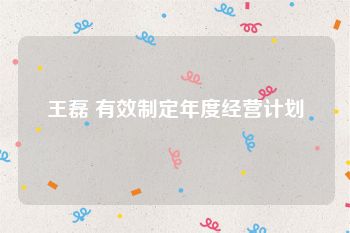 王磊 有效制定年度经营计划