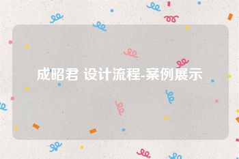 成昭君 设计流程-案例展示