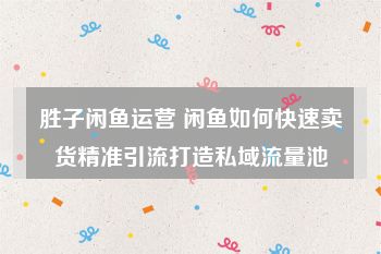 胜子闲鱼运营 闲鱼如何快速卖货精准引流打造私域流量池