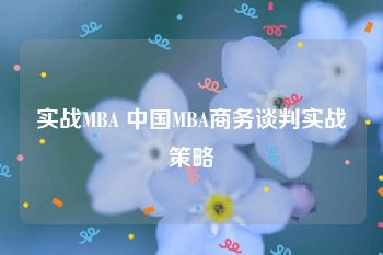 实战MBA 中国MBA商务谈判实战策略
