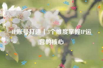 IP账号打造丨3个维度掌握IP运营的核心