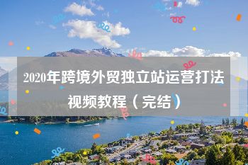 2020年跨境外贸独立站运营打法视频教程（完结）