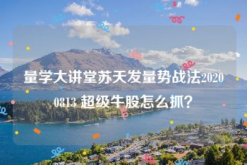 量学大讲堂苏天发量势战法20200813 超级牛股怎么抓？