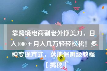 靠跨境电商割老外挣美刀，日入1000＋月入几万轻轻松松！多种变现方式，落地保姆级教程【揭秘】