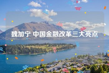 魏加宁 中国金融改革三大亮点