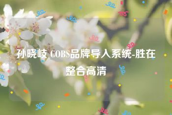 孙晓岐 COBS品牌导入系统-胜在整合高清