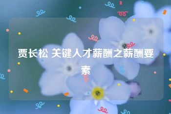 贾长松 关键人才薪酬之薪酬要素