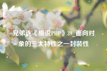 兄弟连《细说PHP》39_面向对象的三大特性之一封装性