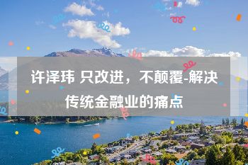 许泽玮 只改进，不颠覆-解决传统金融业的痛点