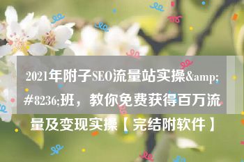 2021年附子SEO流量站实操&#8236;班，教你免费获得百万流量及变现实操【完结附软件】