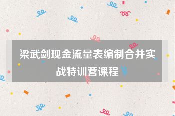 梁武剑现金流量表编制合并实战特训营课程