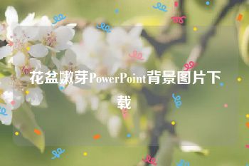 花盆嫩芽PowerPoint背景图片下载