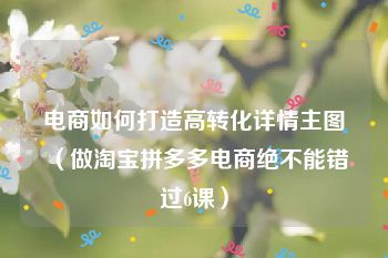 电商如何打造高转化详情主图（做淘宝拼多多电商绝不能错过6课）