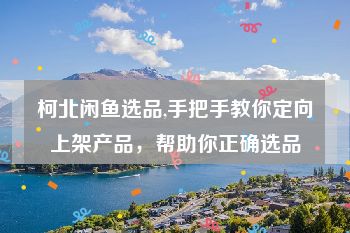 柯北闲鱼选品,手把手教你定向上架产品，帮助你正确选品