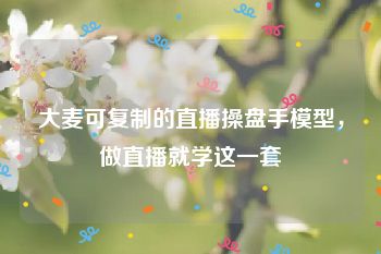 大麦可复制的直播操盘手模型，做直播就学这一套